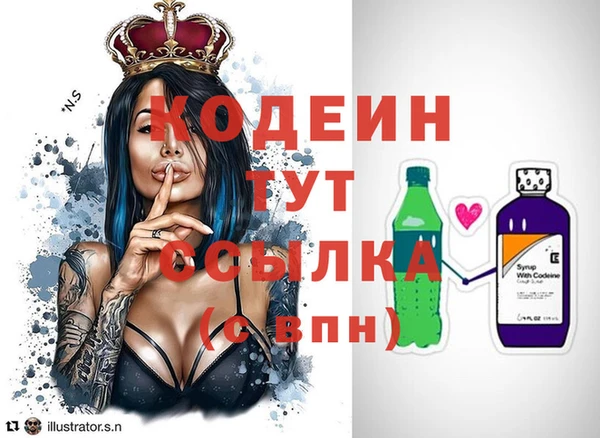 шишки Богородицк